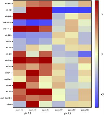 Dysregulation of microRNAs may contribute to neurosensory impairment in Arctic cod (Boreogadus saida) following CO2 exposure